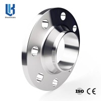 Butt Welding Neck Flange