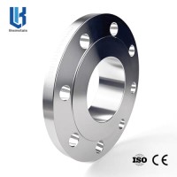 Butt Welding Neck Flange
